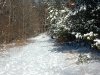 Winter in Ellanor C. Lawrence Park, Fairfax, VA 2