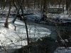 Winter in Ellanor C. Lawrence Park, Fairfax, VA 1
