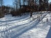 Winter in Ellanor C. Lawrence Park, Fairfax, VA 8