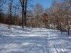 Winter in Ellanor C. Lawrence Park, Fairfax, VA 5