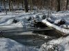Winter in Ellanor C. Lawrence Park, Fairfax, VA 7