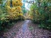 Fall in Ellanor C. Lawrence Park, Fairfax, VA  9