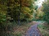 Fall in Ellanor C. Lawrence Park, Fairfax, VA 7