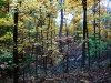 Fall in Ellanor C. Lawrence Park, Fairfax, VA  4