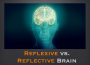 reflexive, reflective