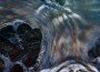 Oily water is seen off the side of the Joe Griffin supply vessel at the site of the Deepwater Horizon oil spill containment efforts in the Gulf of Mexico on Saturday, May 8, 2010. (AP Photo/Gerald Herbert) #
