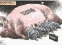 too-pig-to-fail